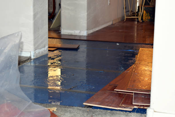 Professional Basement Flood Cleanup technician working in Cornish, UT